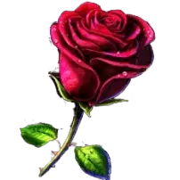Rose Symbol